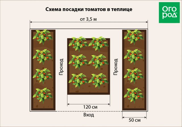 Обрезка помидор в теплице для начинающих схема